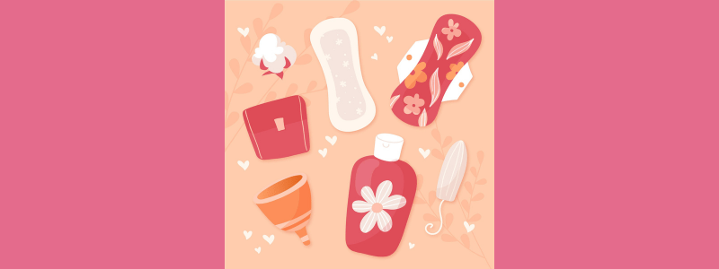 Produtos Menstruais Sustentáveis: Guia Completo com Sugestões