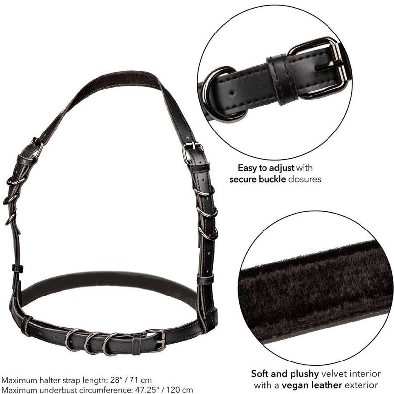 Arnês Sensual Calex Euphoria Buckle