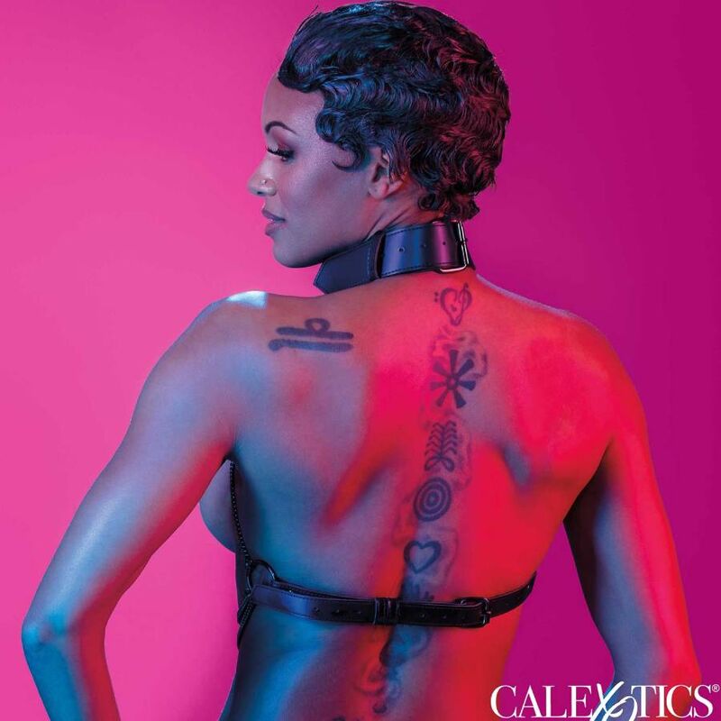 Arnês Sensual Calex Euphoria Multichain