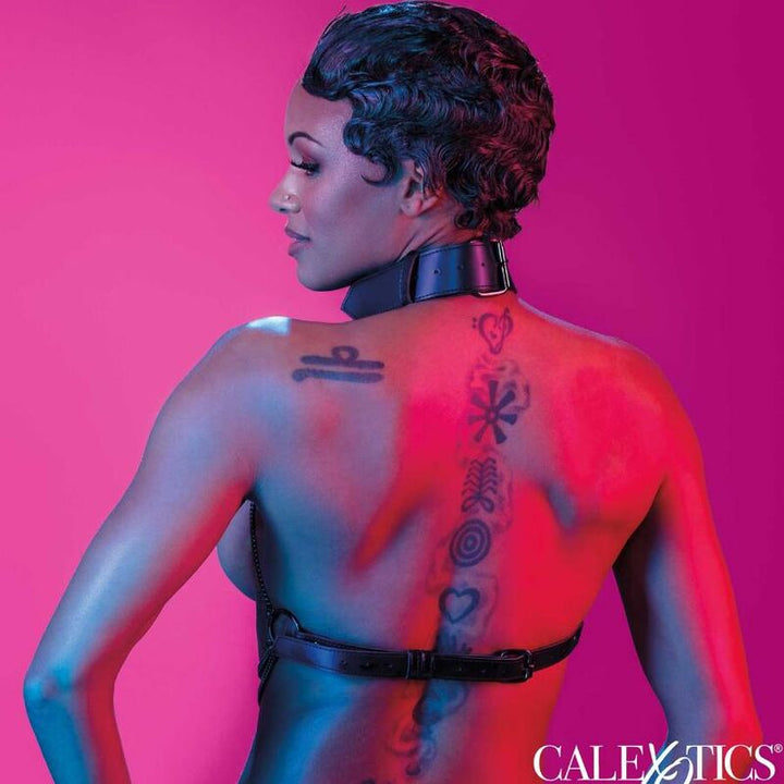 Arnês Sensual Calex Euphoria Multichain