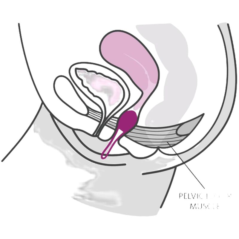Bola Kegel Fun Factory Smartball Uno Lilás