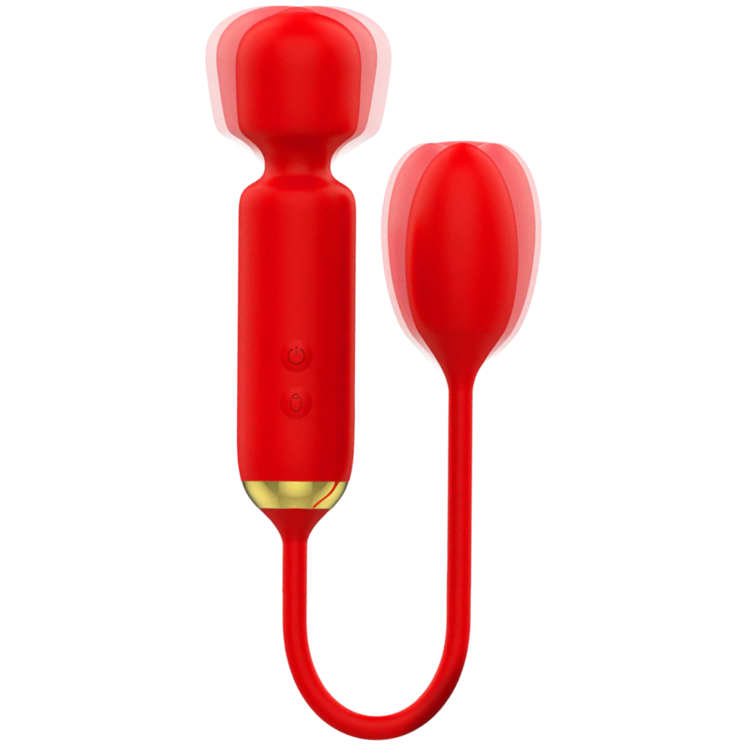 Estimulador Duplo Usb Varinha e Ovo Vibração Mia Toscana 2