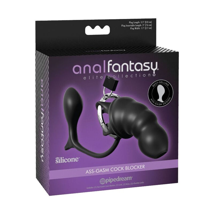 Gaiola Castidade Plug Anal Pipedream Fantasy